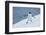 Adelie Penguin-Joe McDonald-Framed Photographic Print