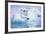 Adelie Penguin-DLILLC-Framed Photographic Print