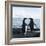 Adelie Penguin-Joe McDonald-Framed Photographic Print