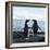 Adelie Penguin-Joe McDonald-Framed Photographic Print