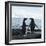 Adelie Penguin-Joe McDonald-Framed Photographic Print