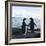 Adelie Penguin-Joe McDonald-Framed Photographic Print