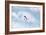 Adelie Penguin-null-Framed Photographic Print