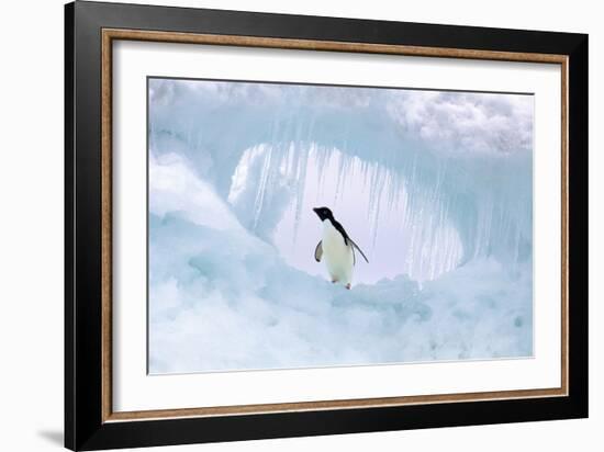 Adelie Penguin-null-Framed Photographic Print