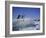 Adelie Penguins, Antarctica-Geoff Renner-Framed Photographic Print