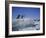 Adelie Penguins, Antarctica-Geoff Renner-Framed Photographic Print