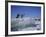 Adelie Penguins, Antarctica-Geoff Renner-Framed Photographic Print