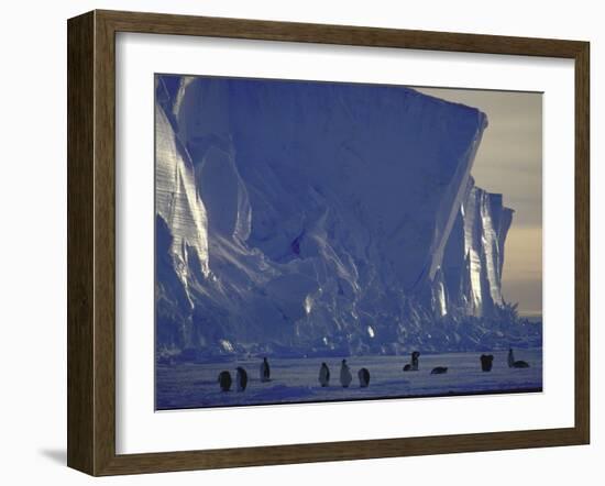 Adelie Penguins, Antarctica-Michael Rougier-Framed Photographic Print