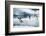 Adelie Penguins Diving off Ice-Joe McDonald-Framed Photographic Print