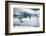 Adelie Penguins Diving off Ice-Joe McDonald-Framed Photographic Print