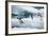 Adelie Penguins Diving off Ice-Joe McDonald-Framed Photographic Print