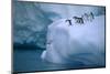 Adelie Penguins Jumping into Water-DLILLC-Mounted Photographic Print