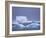 Adelie Penguins on Iceberg, Paulet Island, Antarctica, Polar Regions-David Tipling-Framed Photographic Print