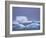 Adelie Penguins on Iceberg, Paulet Island, Antarctica, Polar Regions-David Tipling-Framed Photographic Print