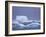 Adelie Penguins on Iceberg, Paulet Island, Antarctica, Polar Regions-David Tipling-Framed Photographic Print