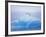 Adelie Penguins on Iceberg, Paulet Island, Antarctica, Polar Regions-David Tipling-Framed Photographic Print