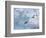 Adelie Penguins, Paulet Island, Antartica, Antarctic-Hugh Rose-Framed Photographic Print