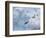 Adelie Penguins, Paulet Island, Antartica, Antarctic-Hugh Rose-Framed Photographic Print