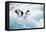 Adelie Penguins (Pygoscelis Adeliae) Antarctica-Ann Manner-Framed Premier Image Canvas