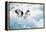 Adelie Penguins (Pygoscelis Adeliae) Antarctica-Ann Manner-Framed Premier Image Canvas