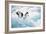 Adelie Penguins (Pygoscelis Adeliae) Antarctica-Ann Manner-Framed Photographic Print