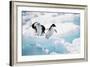 Adelie Penguins (Pygoscelis Adeliae) Antarctica-Ann Manner-Framed Photographic Print