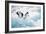 Adelie Penguins (Pygoscelis Adeliae) Antarctica-Ann Manner-Framed Photographic Print