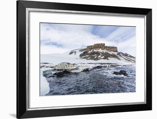 Adelie Penguins (Pygoscelis Adeliae) at Breeding Colony at Brown Bluff, Antarctica, Southern Ocean-Michael Nolan-Framed Photographic Print