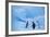 Adelie Penguins Standing on Ice Floe-DLILLC-Framed Photographic Print