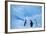 Adelie Penguins Standing on Ice Floe-DLILLC-Framed Photographic Print