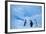 Adelie Penguins Standing on Ice Floe-DLILLC-Framed Photographic Print