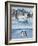 Adelie Penguins, Western Antarctic Peninsula, Antarctica-Steve Kazlowski-Framed Photographic Print