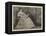 Adelina Patti as Desdemona-Sir James Dromgole Linton-Framed Premier Image Canvas