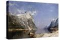 Stretched Canvas Print