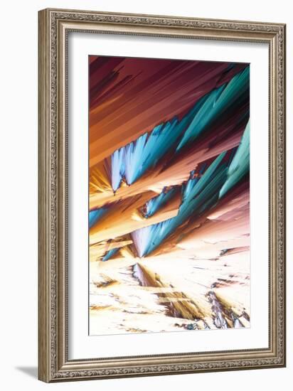 Adenosine Crystals, Light Micrograph-David Parker-Framed Photographic Print