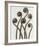 Adiantum Pedatum, Hair Fern-Karl Blossfeldt-Framed Art Print