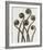 Adiantum Pedatum, Hair Fern-Karl Blossfeldt-Framed Art Print