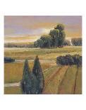 Sunset Cypress-Adina Langford-Art Print