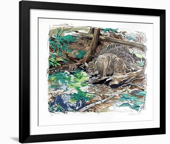 Adirondack Bobcat-Everett Hibbard-Framed Limited Edition