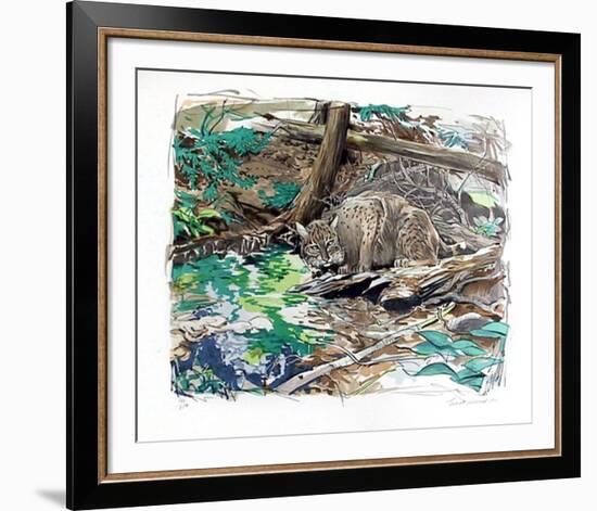 Adirondack Bobcat-Everett Hibbard-Framed Limited Edition