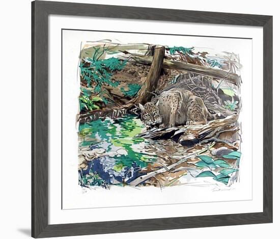 Adirondack Bobcat-Everett Hibbard-Framed Limited Edition