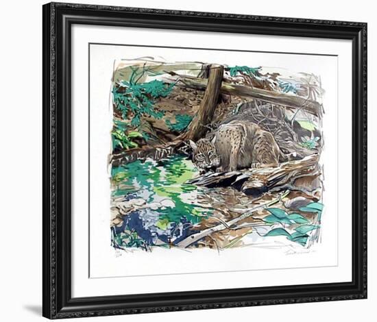 Adirondack Bobcat-Everett Hibbard-Framed Limited Edition