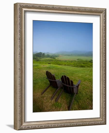 Adirondack Chairs on Lawn at Martha's Vineyard with Fog over Trees in the Distant View-James Shive-Framed Photographic Print