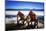 Adirondack Chairs on the Deck-George Oze-Mounted Photographic Print