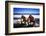 Adirondack Chairs on the Deck-George Oze-Framed Photographic Print