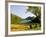 Adirondack Chairs on the Lawn of the Jordan Pond House, Acadia National Park, Mount Desert Island-Jerry & Marcy Monkman-Framed Photographic Print