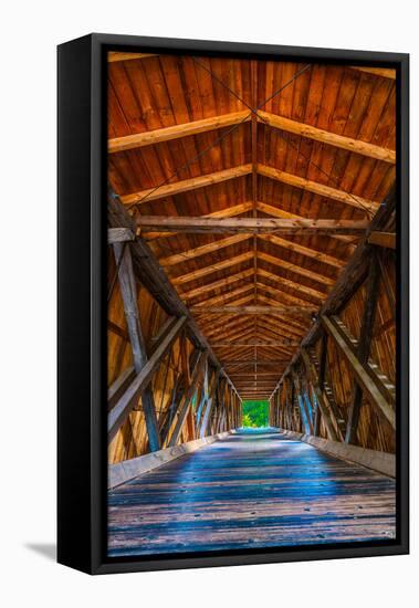 Adirondack Covered Bridge-Steven Maxx-Framed Premier Image Canvas