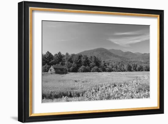 Adirondack Field-Erik Richards-Framed Art Print