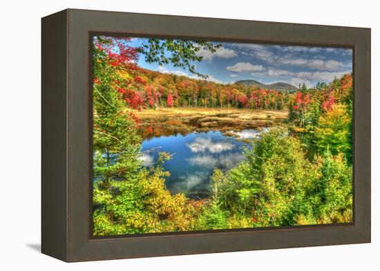 Adirondack Pond-Robert Goldwitz-Framed Premier Image Canvas