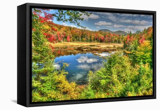 Adirondack Pond-Robert Goldwitz-Framed Premier Image Canvas